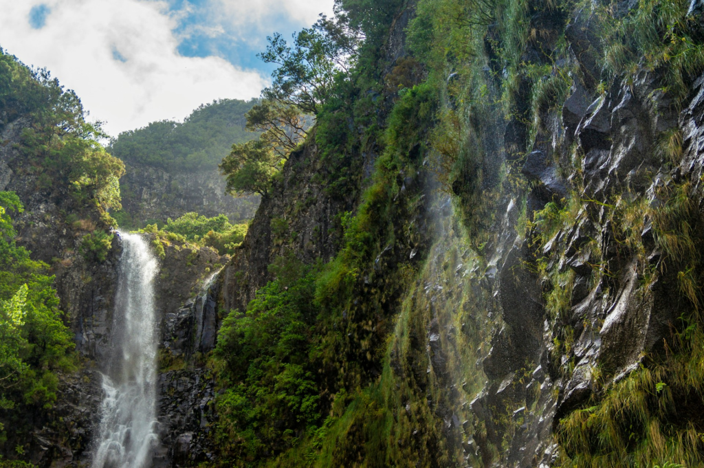 Madeira Waterfall