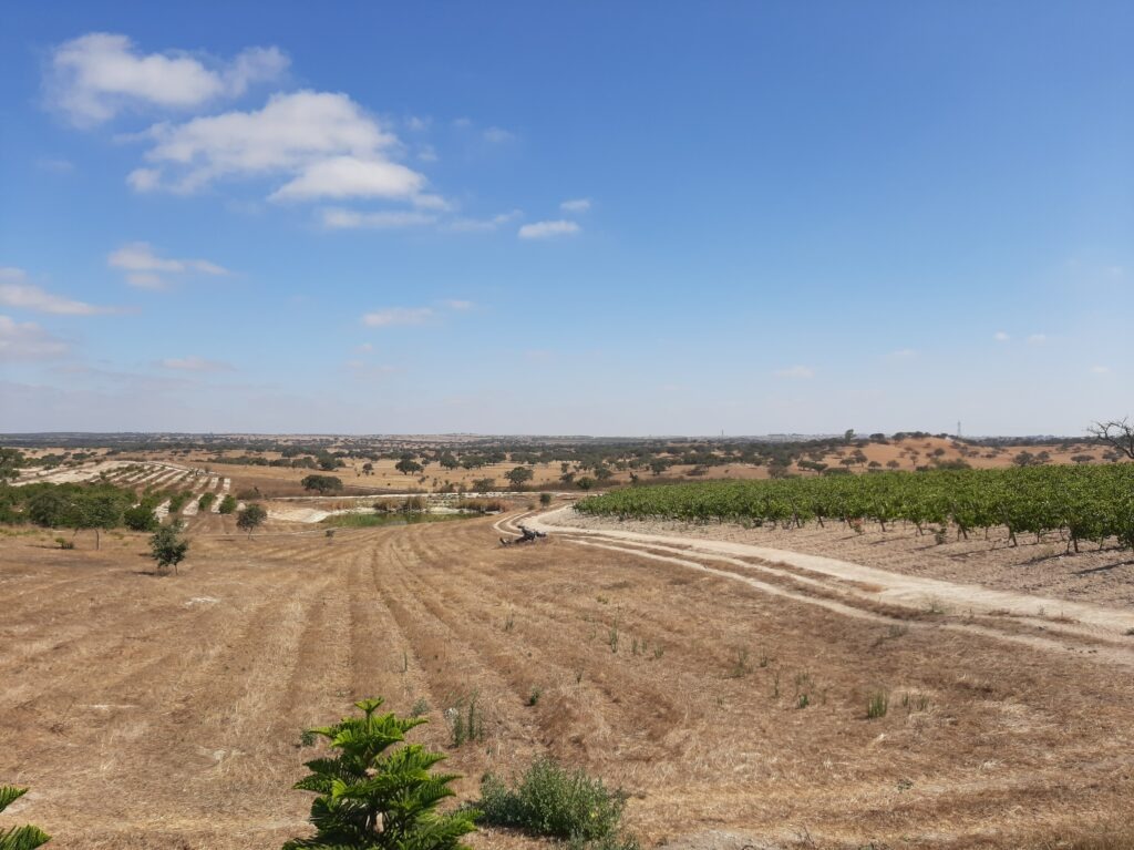Alentejo Region PortugalGuideHub