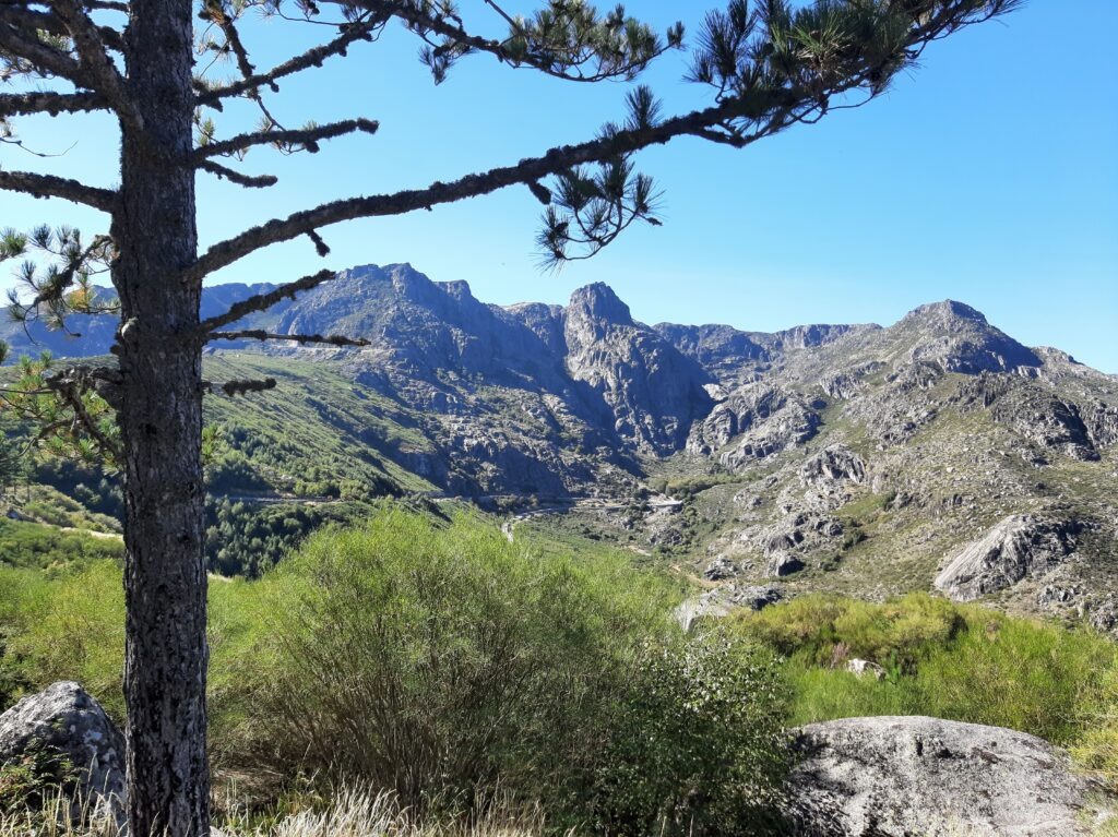 Central Region PortugalGuideHub