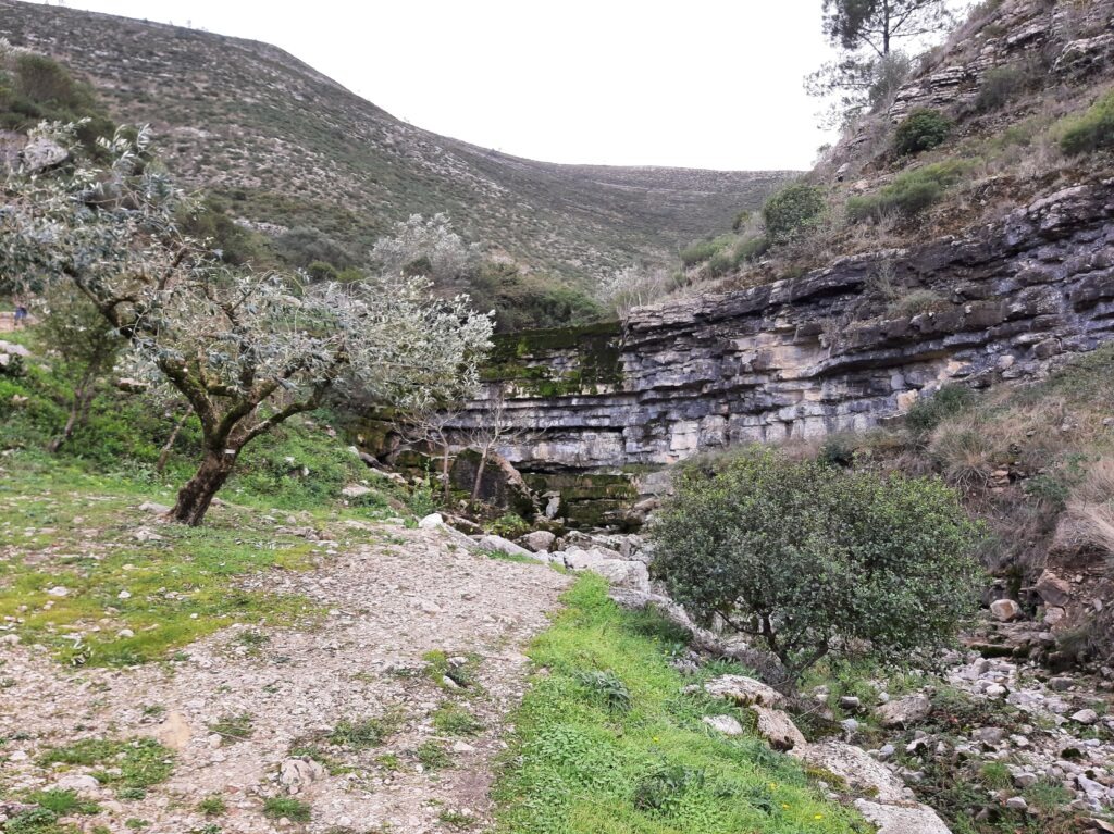 Hiking and Nature PortugalGuideHub